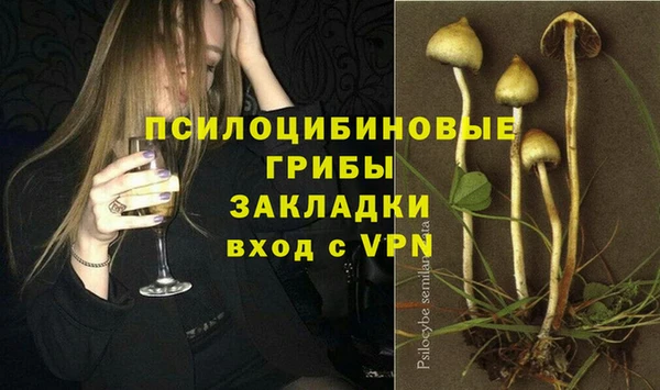 mdpv Алексин