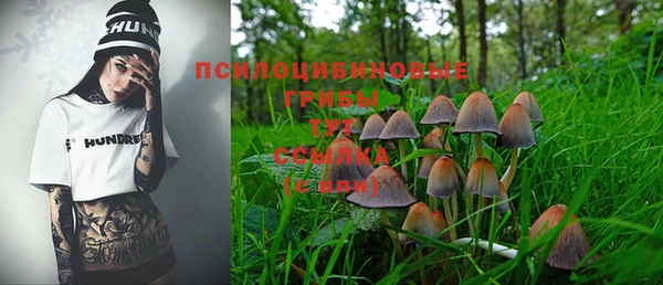 каннабис Алзамай